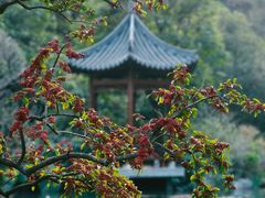 -云溪植物园