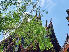-天目山-昭明禅寺