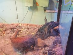 -正佳雨林生态植物园