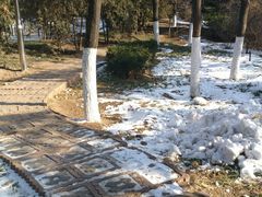 -滨河世纪广场公园