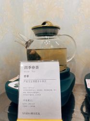 -YESIDO椰岛造型