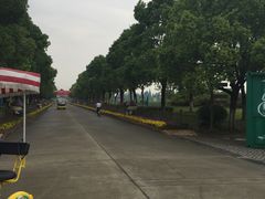 -上海都市菜园