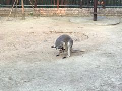 -上方山森林动物世界