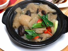 猪皮煲-长平肥姐白粥·海鲜打冷