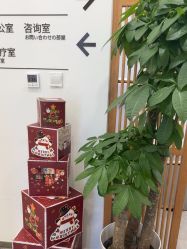 -和颜一美轻医美连锁