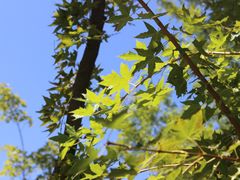 -回龙观体育文化公园