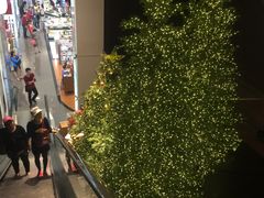 -DFS旗下T广场(新加坡店)