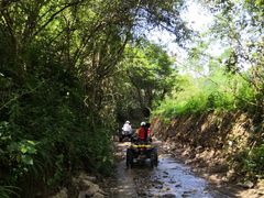 -修水东浒寨风景区
