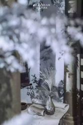 -诺丁山婚礼企划