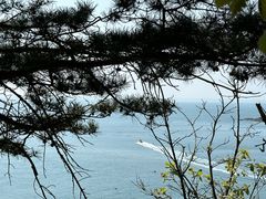 -棒棰岛宾馆景区