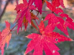 -上海浦江郊野公园-2号停车场