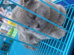 -万达广场(南京江宁店)