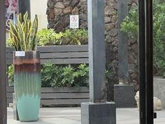 -勝記酒家·37年老字号·经典粤菜(南山花园城店)