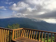 -三亚亚龙湾人间天堂鸟巢度假村
