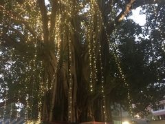 -清迈女子监狱马杀鸡(无分店)