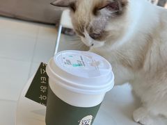 -怪兽屋·羊驼·猫咖·狗咖(俊华广场店)