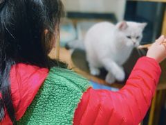 -猫色咖啡·猫咖