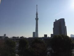 -东京塔海贼王主题公园