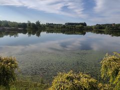 -东郊湿地公园