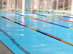 -菲鱼体育恒温游泳馆(中海名城店)