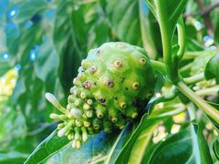 -三亚南山文化旅游区