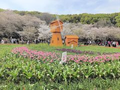 -苏州上方山国家森林公园
