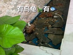 -童学园幼儿园(良庄西街)