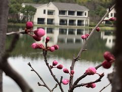 -苏州环秀晓筑养生度假村