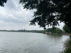 -海珠湖公园