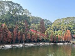 -广州市帽峰山景区