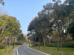 -宝界山林公园