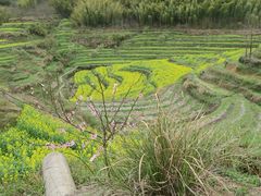 -灵山景区梯田
