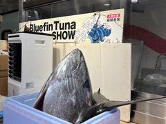 -大起水产回转寿司(道顿堀店)