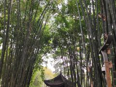 -望江楼公园