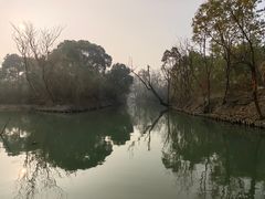 -西溪国家湿地公园