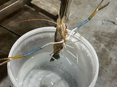 -粮心小农·大头虾亲子生态园(长发店)