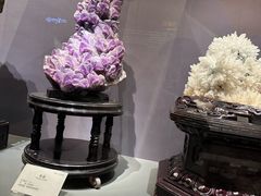 -湖南省地质博物馆