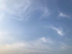 -羊亭河湿地公园