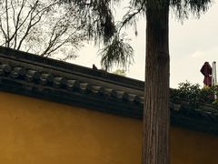 -灵顺寺