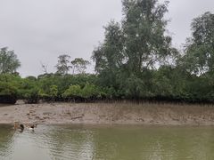 -东寨港红树林旅游区