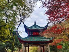 -岳麓山风景名胜区