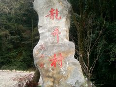 -龙井村