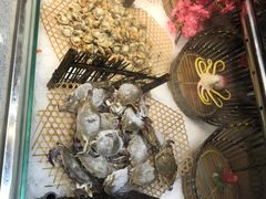 -格瑞欧海鲜自助烤肉火锅(光彩店)