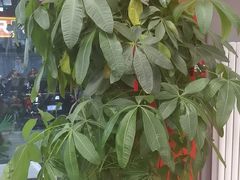 -小炉灶铁锅炖