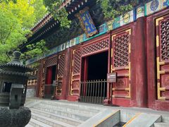 -北京西山国家森林公园