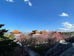 -崇圣寺三塔文化旅游区