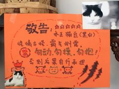 Anne猫窝咖啡屋-Anne猫窝咖啡屋