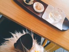 -春风十里咖啡馆