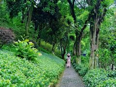 -重庆平顶山公园