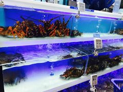 -盒马鲜生(大成店)